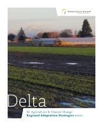 Regional Adaptation Strategies Series -- Delta