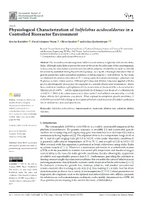 Physiological Characterization of Sulfolobus Acidocaldarius in a Controlled Bioreactor Environment