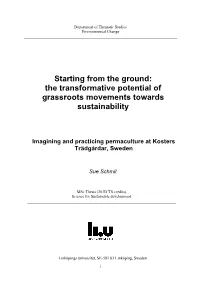 Starting from the Ground: the Transformative Potential of Grassroots Movements Towards Sustainability