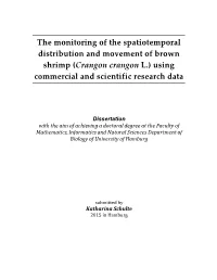 The Monitoring of the Spatiotemporal Distribution and Movement of Brown Shrimp (Crangon Crangon L.) Using Commercial and Scientific Research Data