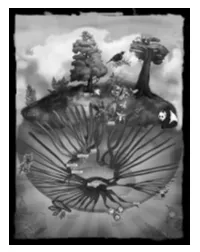 The Tree, the Spiral and the Web of Life: a Visual Exploration of Biological Evolution