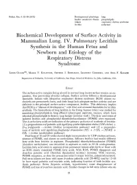 Biochemical Development of Surface Activity in Mammalian Lung. IV