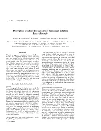 Description of Selected Behaviours of Humpback Dolphins Sousa Chinensis