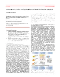 Testing Olfactory Function and Mapping the Structural Olfactory Networks in the Brain