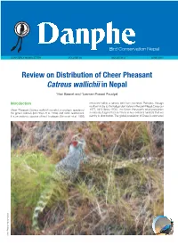Danphe Newsletter