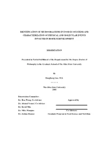 Identification of Microorganisms in Food Ecosystems and Characterization of Physical and Molecular Events Involved in Biofilm Development
