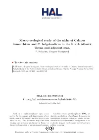 Macro-Ecological Study of the Niche of Calanus Finmarchicus and C. Helgolandicus in the North Atlantic Ocean and Adjacent Seas. P
