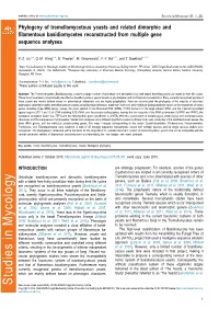 Phylogeny of Tremellomycetous Yeasts and Related Dimorphic and Filamentous Basidiomycetes Reconstructed from Multiple Gene Seque