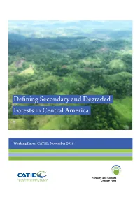Defining Secondary and Degraded Forests in Central America