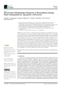 Host Factors Modulating Ochratoxin a Biosynthesis During Fruit Colonization by Aspergillus Carbonarius