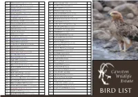CWE Bird List