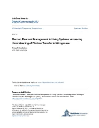 Electron Flow and Management in Living Systems: Advancing Understanding of Electron Transfer to Nitrogenase