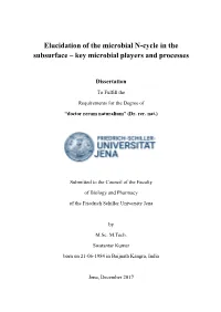 Elucidation of the Microbial N-Cycle in the Subsurface – Key Microbial Players and Processes