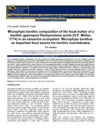 Microphyto Benthic Composition of the Fecal Matter of a Benthic Gastropod Pachymelania Aurita (O.F