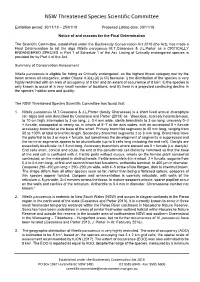 Nitella Parooensis M.T.Casanova & J.L.Porter As a CRITICALLY ENDANGERED SPECIES in Part 1 of Schedule 1 of the Act