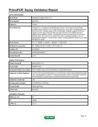 Primepcr™Assay Validation Report