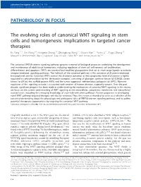 The Evolving Roles of Canonical WNT Signaling in Stem Cells And