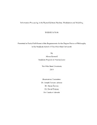 Information Processing in the Rostral Solitary Nucleus: Modulation and Modeling