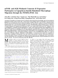 Mtor- and SGK-Mediated Connexin 43 Expression Participates in Lipopolysaccharide-Stimulated Macrophage Migration Through the Inos/Src/FAK Axis