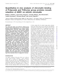 Quantitative in Vivo Analysis of Chromatin Binding of Polycomb and Trithorax Group Proteins Reveals Retention of ASH1 on Mitotic Chromatin Philipp A
