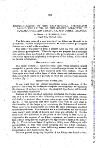 EPIDERMIZATION, OF, the TRANSITIONAL EPITHELIUM LINING the PELVIS of the KIDNEY·, FOLLOWED by SQUAMOUS-CELLED 0ARCINOMA,AND OT~ER CHANGES'~ by MAJOR J