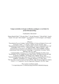Unique Metabolic Strategies in Hadean Analogues Reveal Hints for Primordial Physiology
