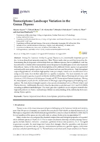 Transcriptome Landscape Variation in the Genus Thymus