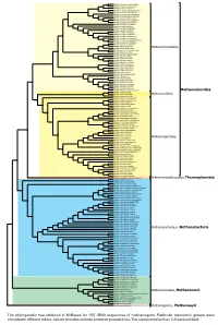 Display Taxonomy in the Phylogenetic Tree