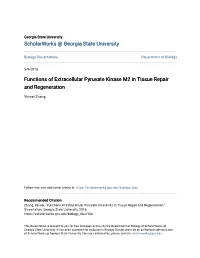 Functions of Extracellular Pyruvate Kinase M2 in Tissue Repair and Regeneration
