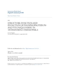 Structure, Function and Evolution Of