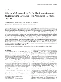 Different Mechanisms Exist for the Plasticity of Glutamate Reuptake During Early Long-Term Potentiation (LTP) and Late LTP