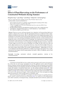 Effect of Plant Harvesting on the Performance of Constructed Wetlands During Summer