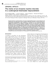 The Niche of an Invasive Marine Microbe in a Subtropical Freshwater Impoundment