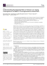 Understanding the Potential Role of Sirtuin 2 on Aging: Consequences of SIRT2.3 Overexpression in Senescence