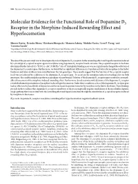 Molecular Evidence for the Functional Role of Dopamine D3 Receptor in the Morphine-Induced Rewarding Effect and Hyperlocomotion