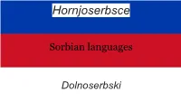 Sorbian Languages