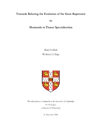 Towards Relating the Evolution of the Gene Repertoire in Mammals to Tissue Specialisation
