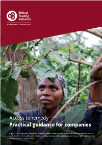 Access to Remedy Practical Guidance for Companies