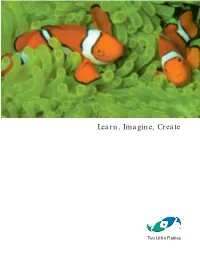 Learn, Imagine, Create