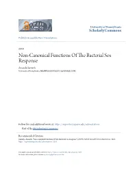 Non-Canonical Functions of the Bacterial Sos Response
