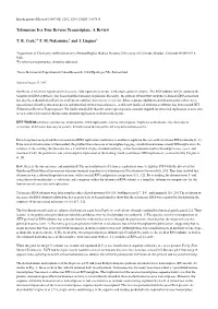 Telomerase Is a True Reverse Transcriptase