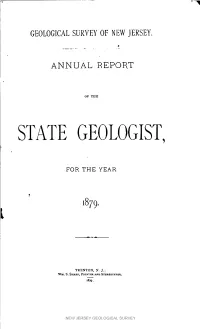 Annual Report of the State Geologist for the Year 1879