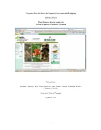 First Progress Report