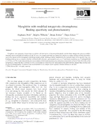 Myoglobin with Modified Tetrapyrrole Chromophores: Binding Specificity and Photochemistry ⁎ Stephanie Pröll A, Brigitte Wilhelm A, Bruno Robert B, Hugo Scheer A