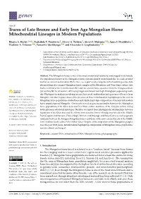 Traces of Late Bronze and Early Iron Age Mongolian Horse Mitochondrial Lineages in Modern Populations