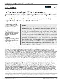 ¬LACZ-REPORTER MAPPING of Dlx5/6 EXPRESSION AND