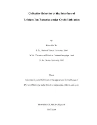 Collective Behavior at the Interface of Lithium-Ion Batteries Under Cyclic
