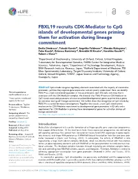 FBXL19 Recruits CDK-Mediator to Cpg Islands of Developmental Genes Priming Them for Activation During Lineage Commitment