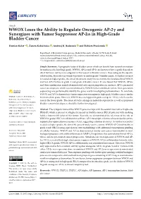 WWOX Loses the Ability to Regulate Oncogenic AP-2Γ and Synergizes with Tumor Suppressor AP-2Α in High-Grade Bladder Cancer