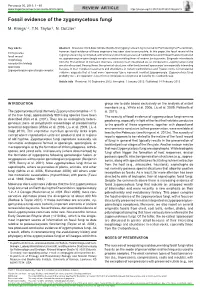 Fossil Evidence of the Zygomycetous Fungi